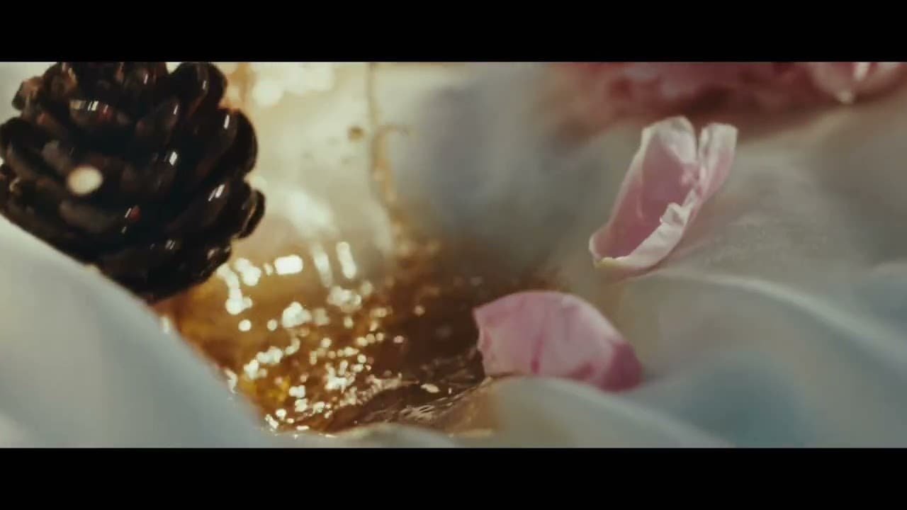 Contraband Summer Chase